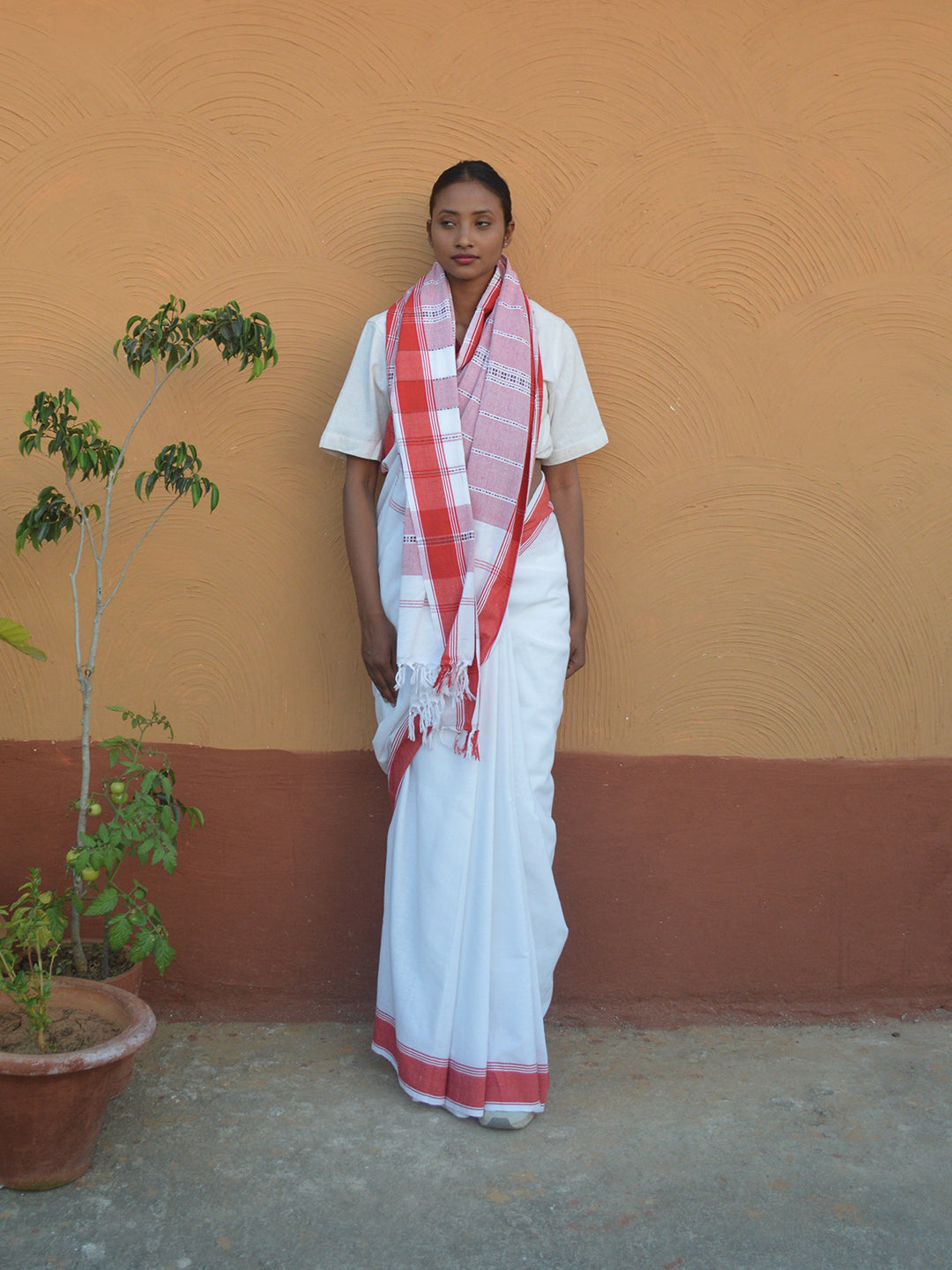 Pindna Saree