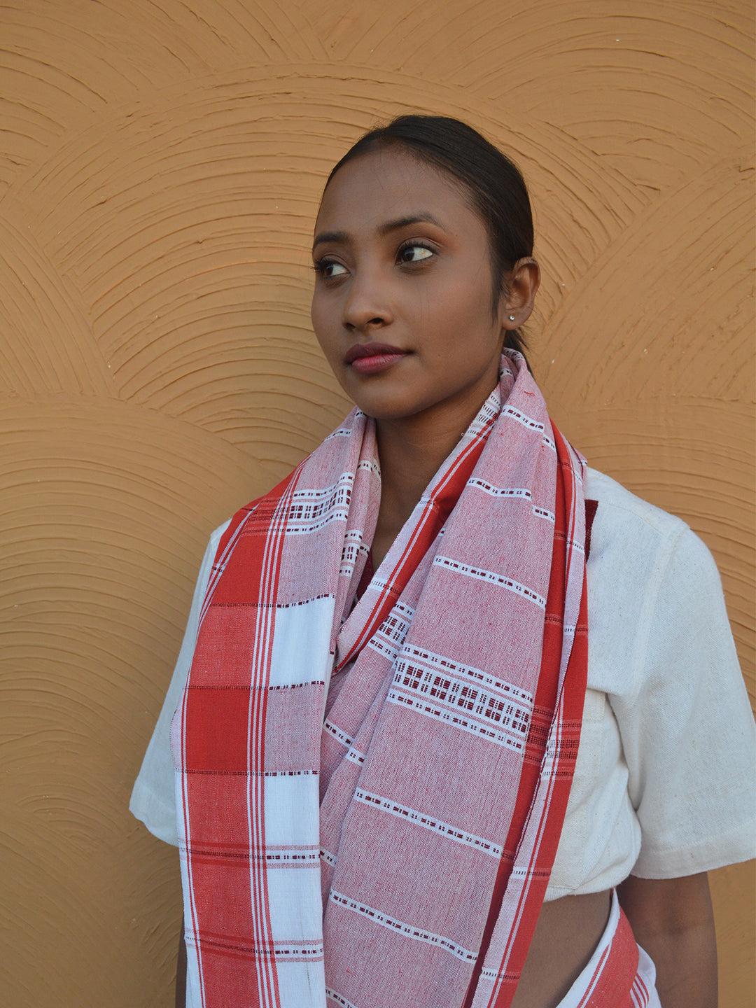 Pindna Saree